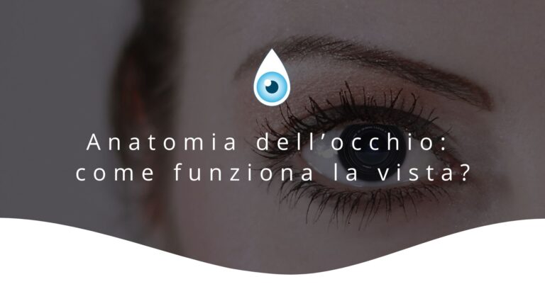 Anatomia e parti dell'occhio: come funziona la vista? - Hylocchio
