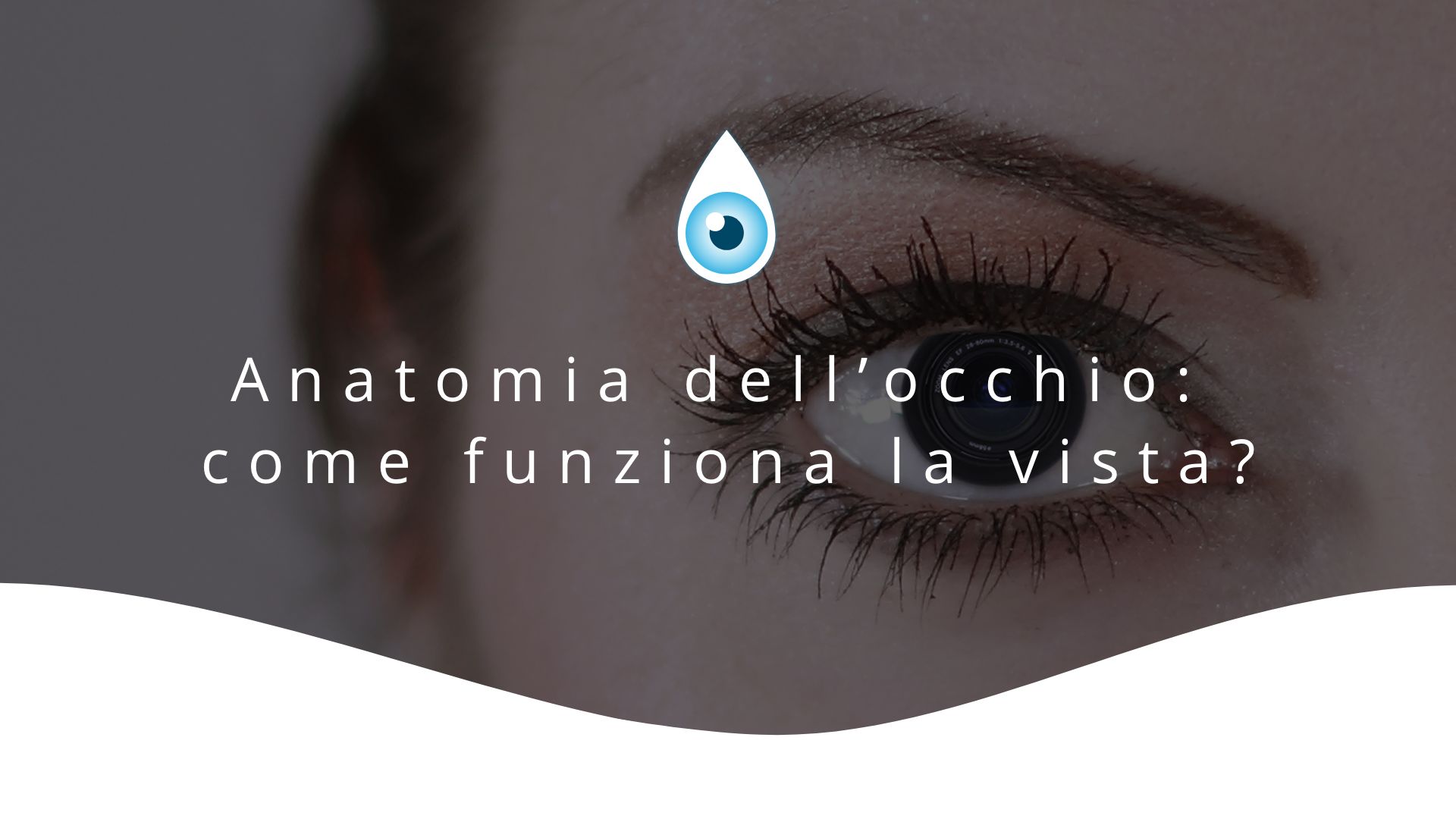 Anatomia-occhio-come-funziona-vista-blog